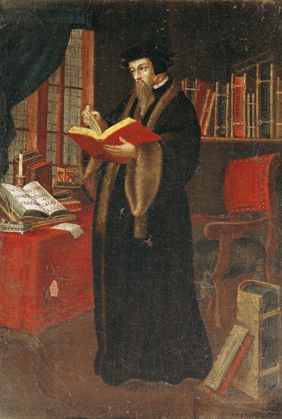 Retrato de João Calvino (1509-64), teólogo e reformador francês de French School